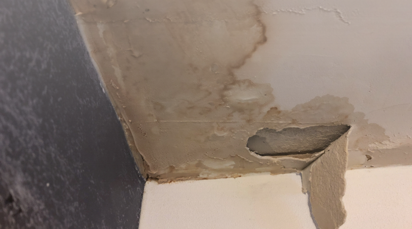 imagem de Infiltração